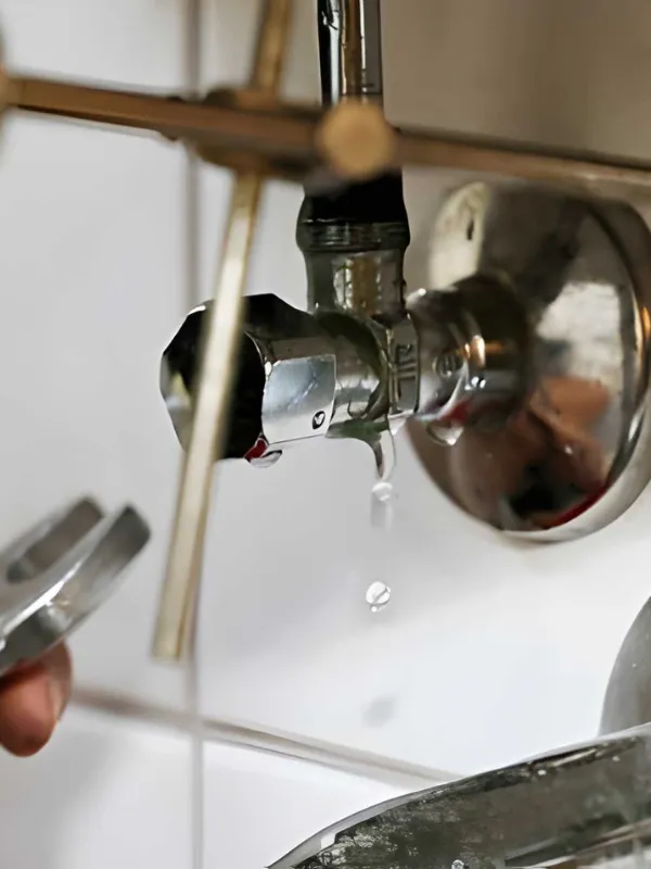 Roofing team working in Brea, CA