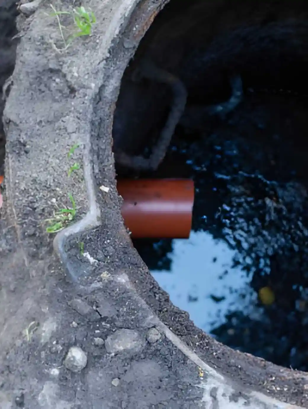 Drain Problems That Often Affect Dana Point Homes